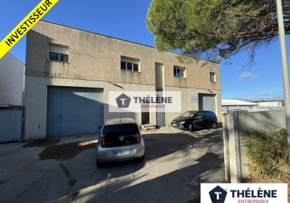 vente Locaux d'activité Saint Georges D'orques