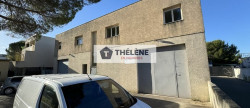 vente Locaux d'activité Saint Georges D'orques