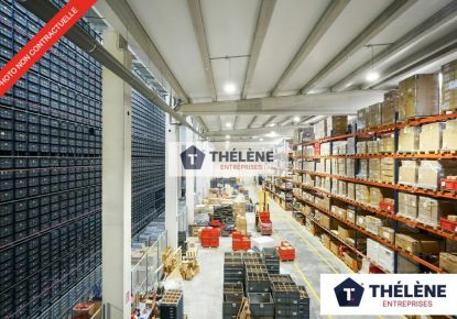 vente Locaux d'activité Castelnau Le Lez