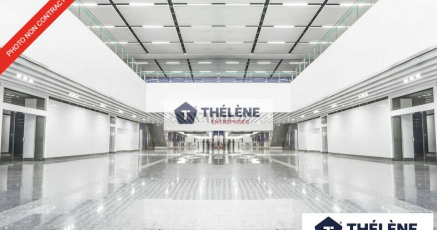 vente Local commercial Castelnau Le Lez