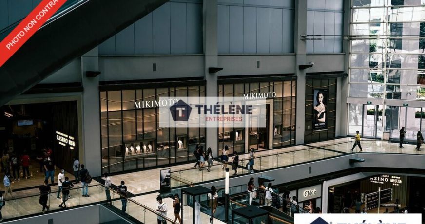 location Local commercial Saint Jean De Vedas