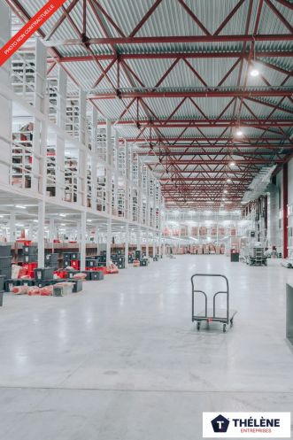 location Locaux d'activité Saint Jean De Vedas