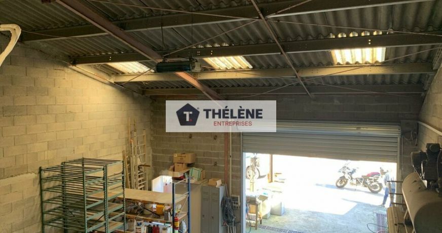 location Locaux d'activité Castelnau Le Lez