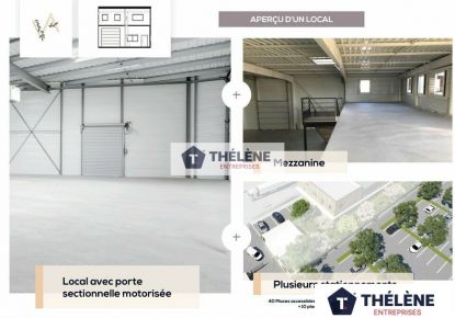 vente Locaux d'activité Sussargues