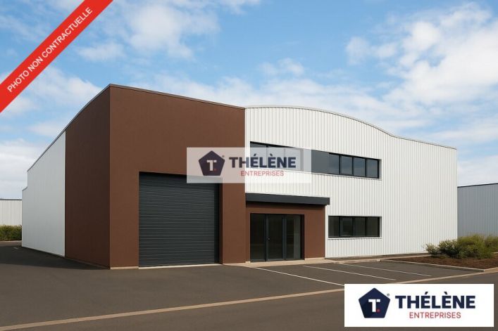 vente Locaux d'activité Vendargues