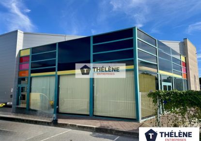 location Locaux d'activité Mauguio