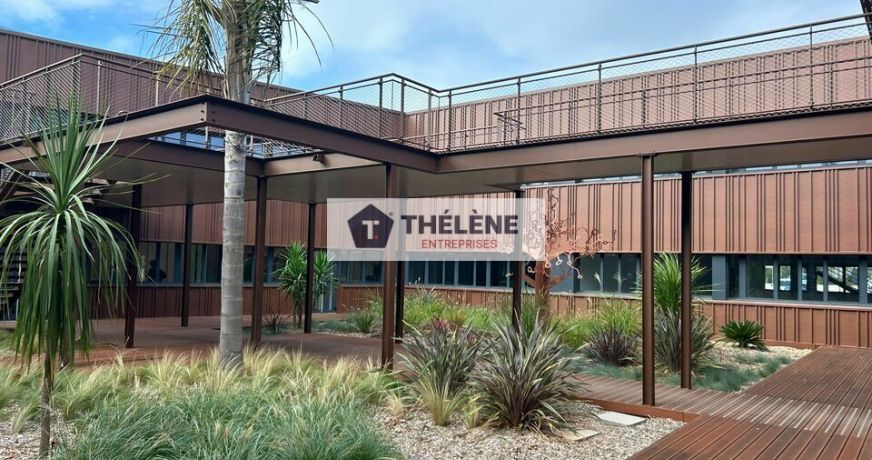 location Bureau Mauguio