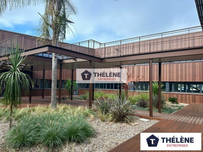 location Bureau Mauguio