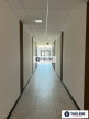 location Bureau Mauguio