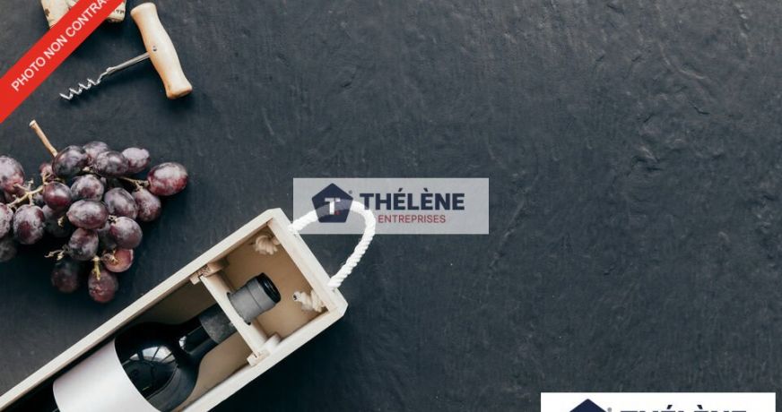 vente Local commercial Castelnau Le Lez