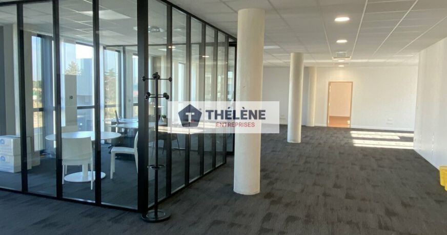 location Bureau Mauguio