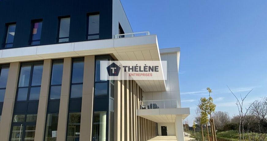 location Bureau Mauguio