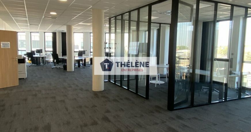 location Bureau Mauguio