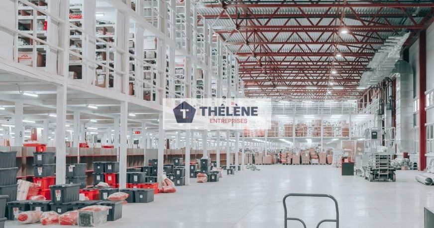 location Locaux d'activité Montpellier