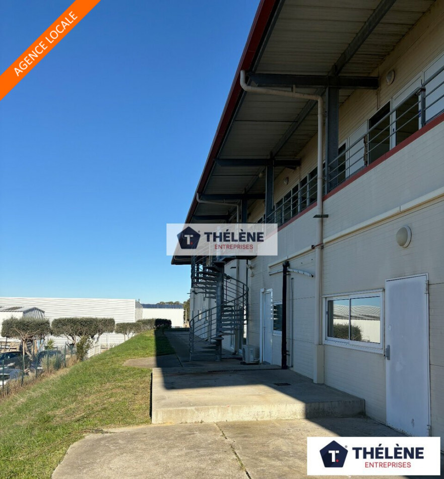 à vendre Locaux d'activité Frontignan - Photo 2