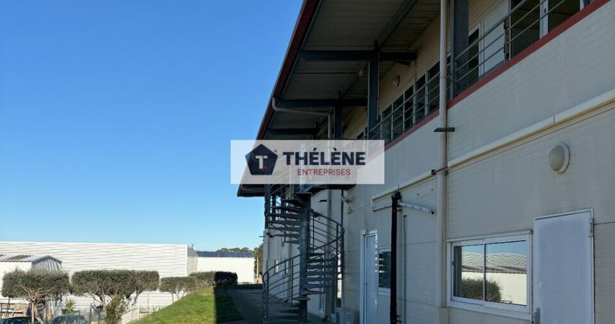 vente Locaux d'activité Frontignan