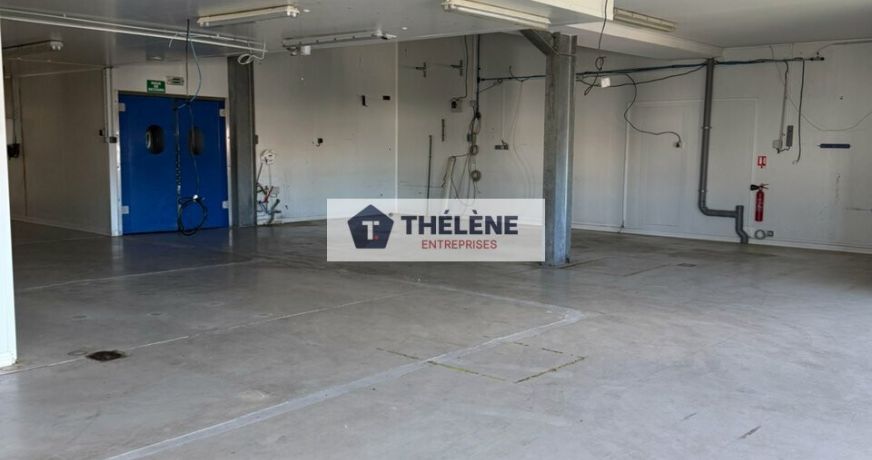 vente Locaux d'activité Frontignan