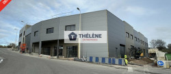 vente Locaux d'activité Gigean