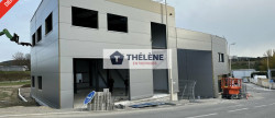 vente Locaux d'activité Gigean