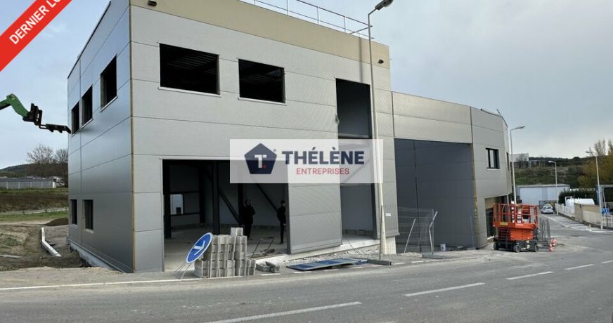 vente Locaux d'activité Gigean