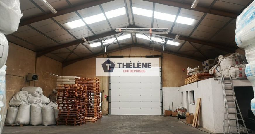 location Locaux d'activité Vendargues