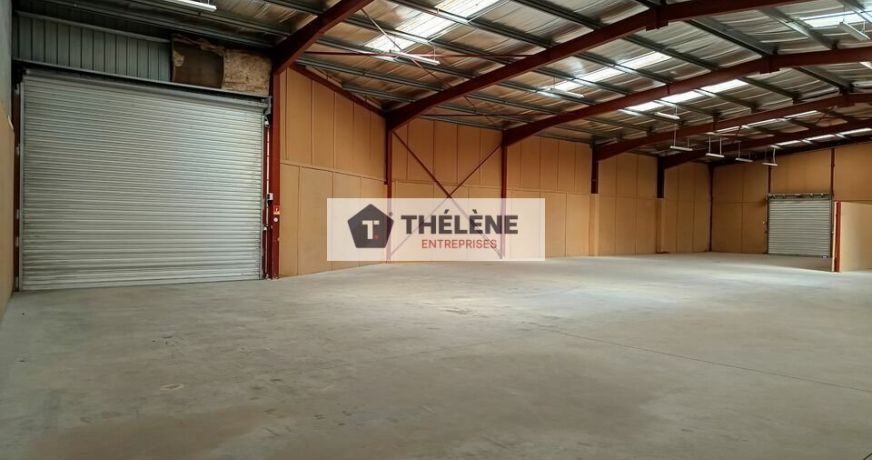 vente Locaux d'activité Gigean