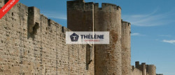vente Divers commerces Aigues Mortes