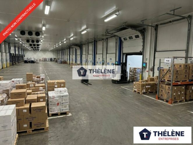 vente Locaux d'activité Vendargues