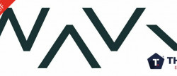 vente Locaux d'activité Lattes