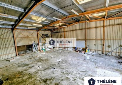 vente Locaux d'activité Lunel