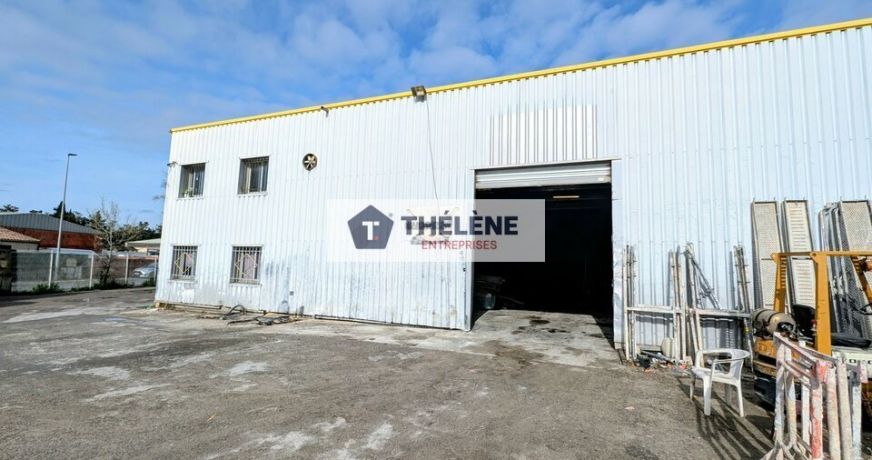 vente Locaux d'activité Lunel