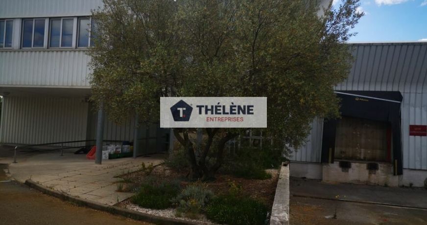 location Locaux d'activité Le Cres