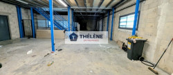 vente Locaux d'activité Lunel Viel