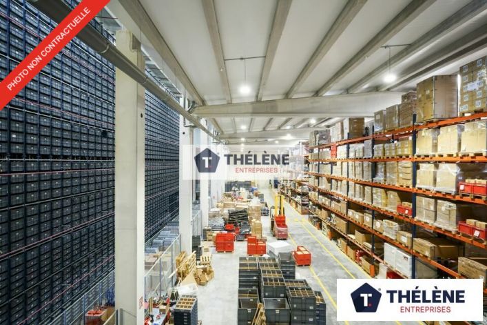 location Locaux d'activité Vendargues