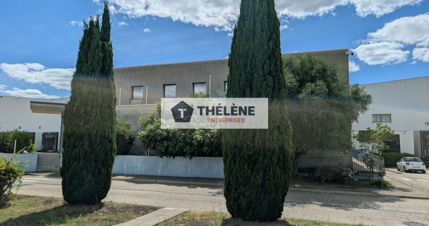 vente Locaux d'activité Nimes