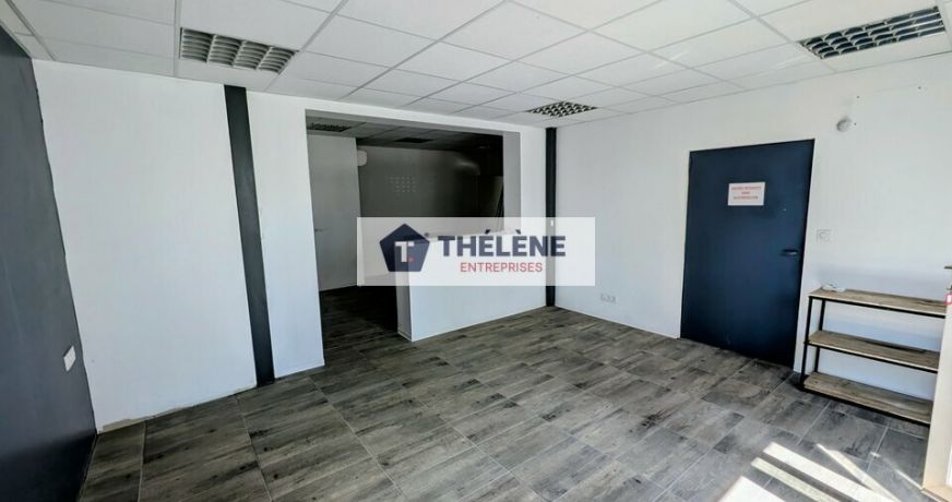 location Locaux d'activité Lattes