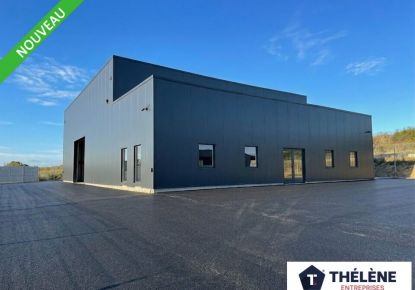 vente Locaux d'activité Meze