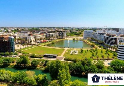 vente Bureau Montpellier