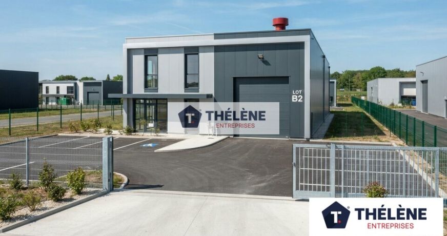 vente Locaux d'activité Lunel Viel