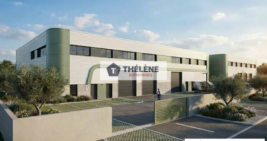 vente Locaux d'activité Lunel