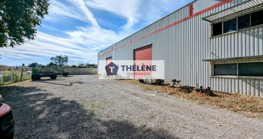 vente Locaux d'activité Fabregues