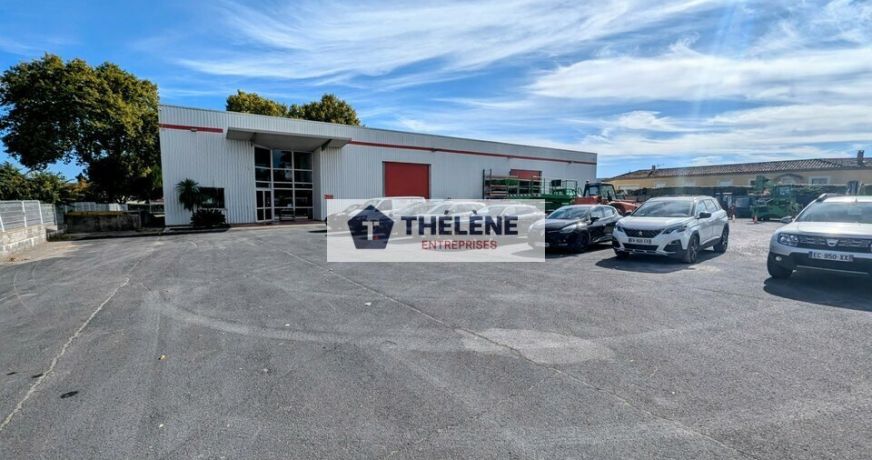 vente Locaux d'activité Fabregues