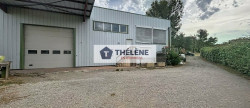 vente Locaux d'activité Teyran