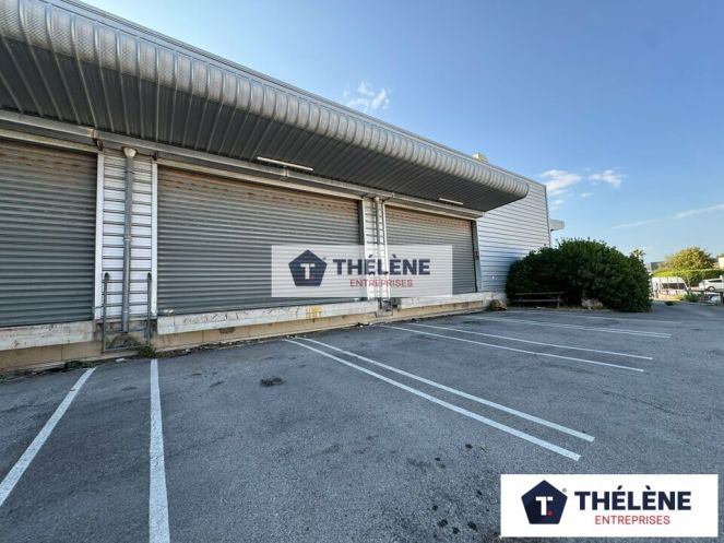 location Locaux d'activité Lattes