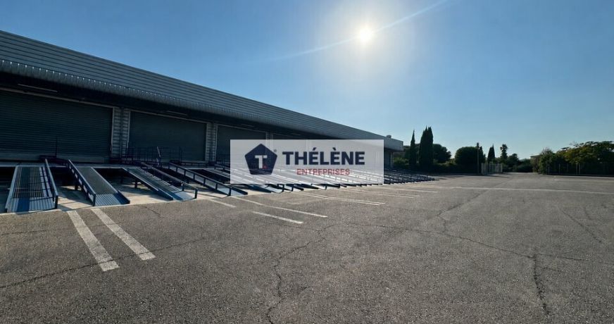 location Locaux d'activité Lattes