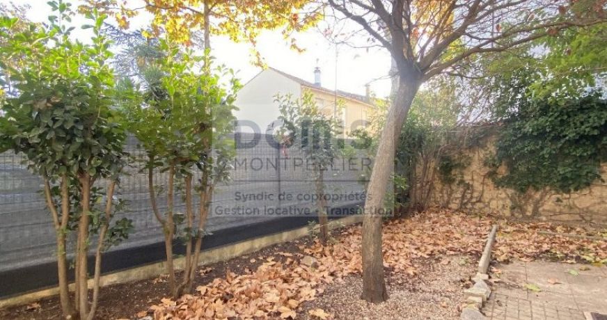 location Maison Mauguio