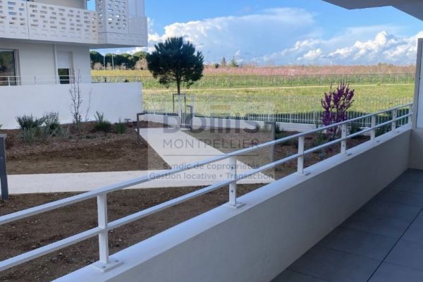 à louer Appartement Castelnau Le Lez