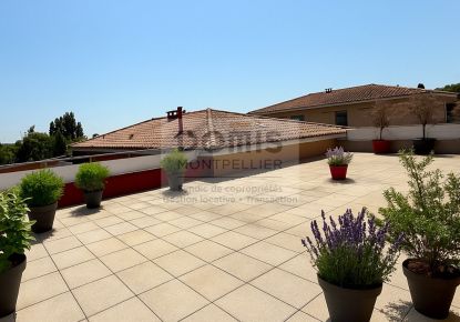 location Appartement en résidence Mauguio