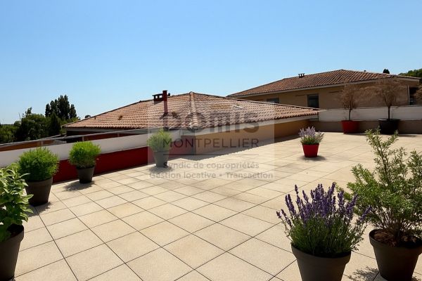 à louer Appartement en résidence Mauguio