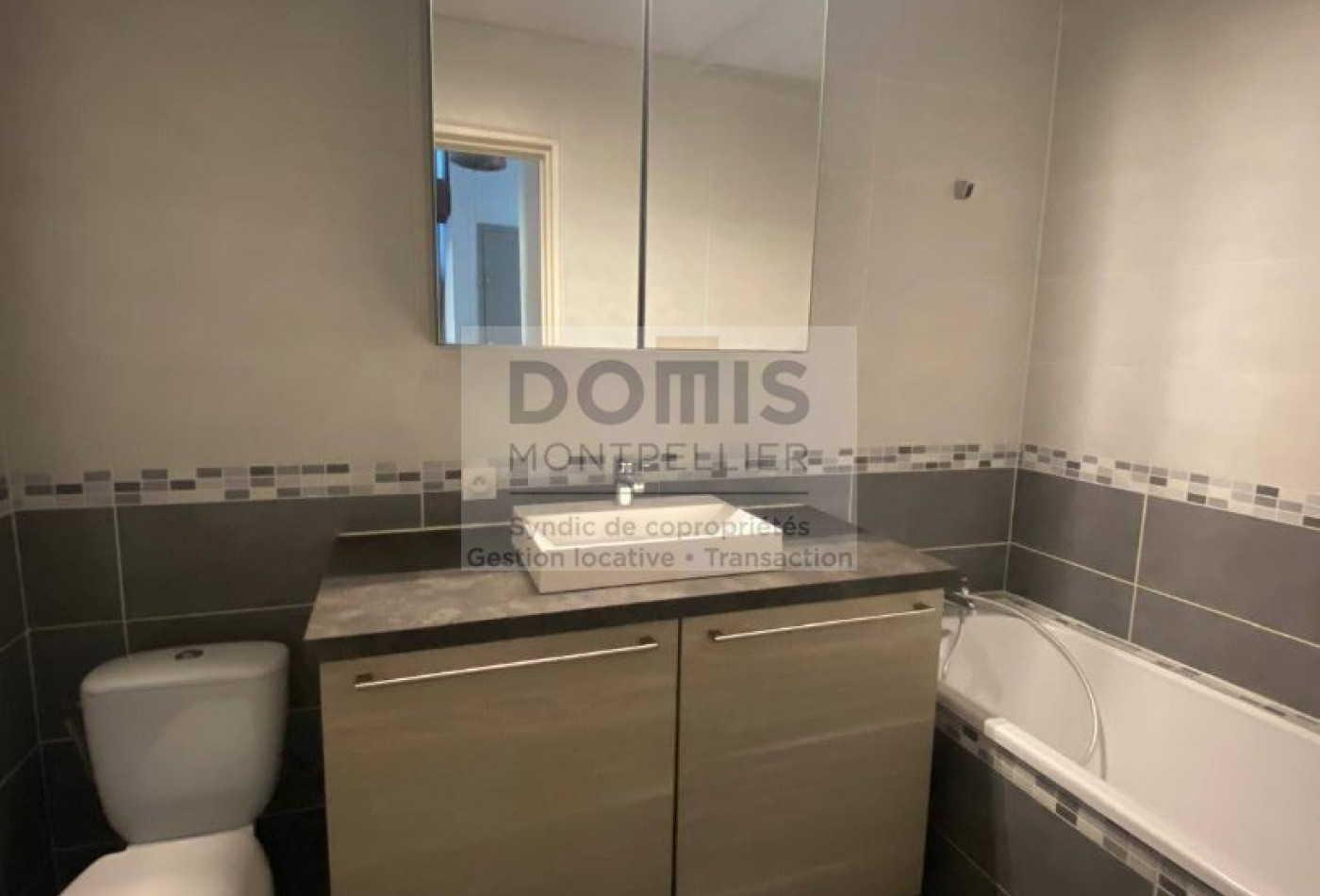 location Appartement mezzanine Lunel Viel - Photo 7